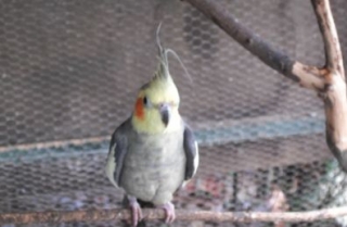  Zoologischer Park in den Pyrénées Atlantiques 